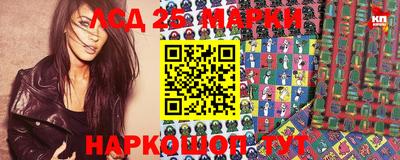 ешки Кингисепп