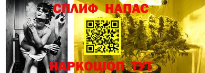 ешки Кингисепп