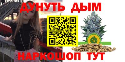 ешки Кингисепп