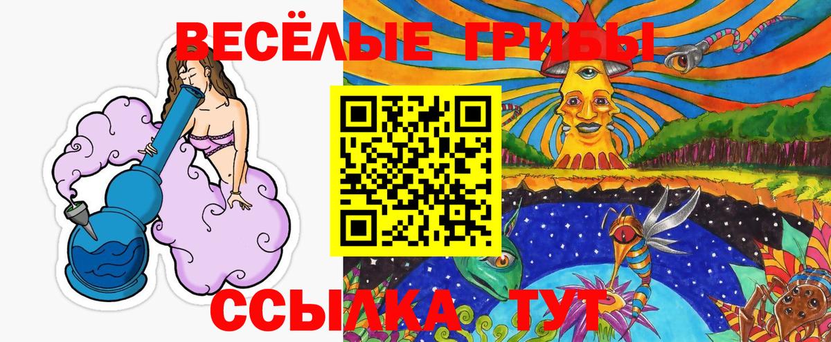 Галлюциногенные грибы мицелий Куйбышев
