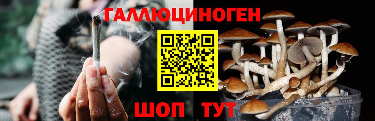Куйбышев  Галлюциногенные грибы прущие грибы  Псилоцибиновые грибы мухоморы  Вход с VPN 